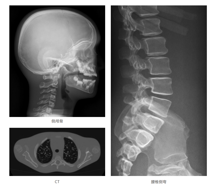 1736302755426 1736302755426