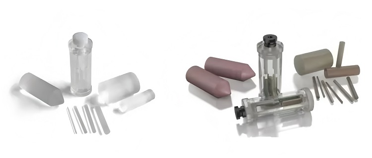 小鼠模型2 小鼠模型2