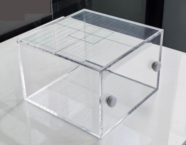 1754384562881 1754384562881