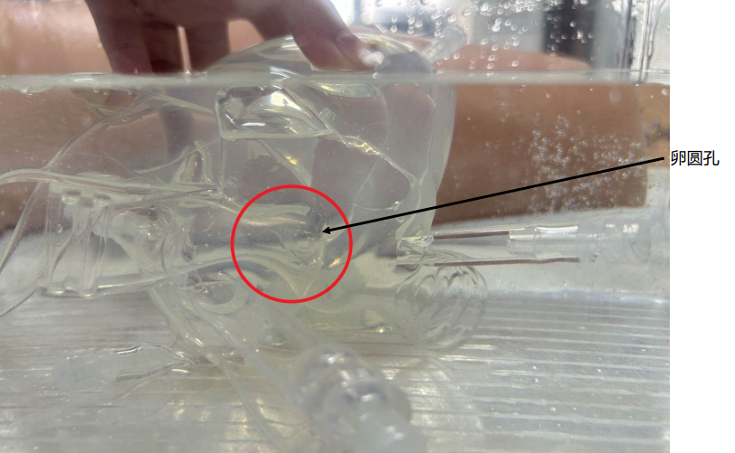 26c9c94b-d4c5-41b7-a5ea-7b611e7fd16d