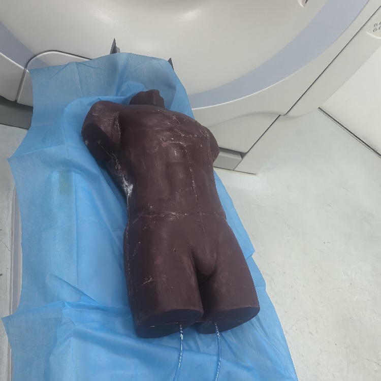 241202成人軀干模體4 241202成人軀干模體4